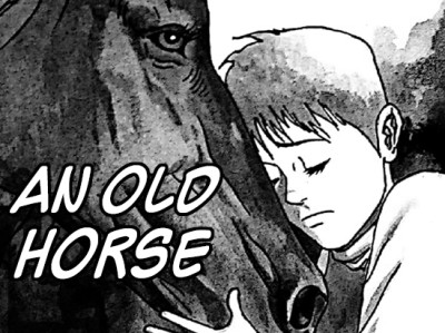 An Old Horse 20